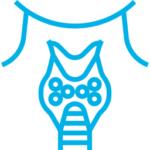 Thyroid Function Test Package